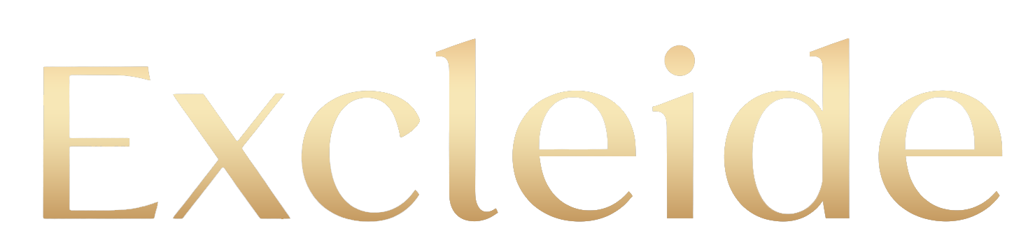 Excleide Pvt Ltd Logo